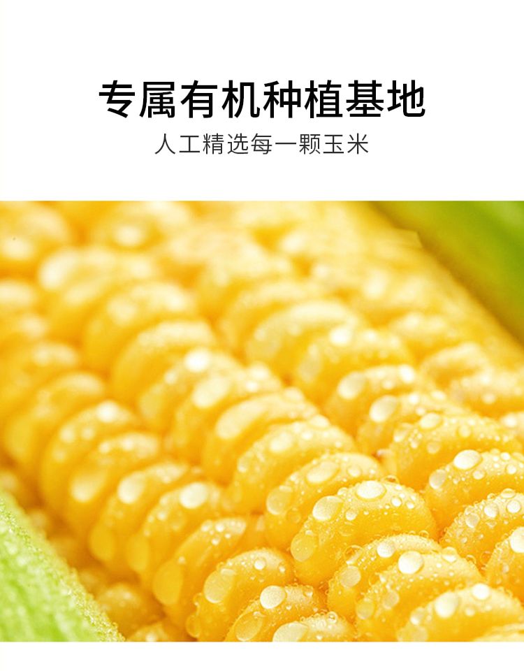 yubame-corn-juice-330ml-6