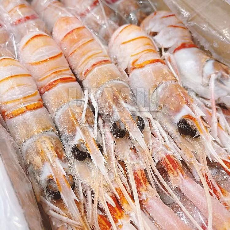 fresh-cheng-kee-fresh-new-zealand-top-quality-sashimi-crayfish-individual-box-about-1kg-1
