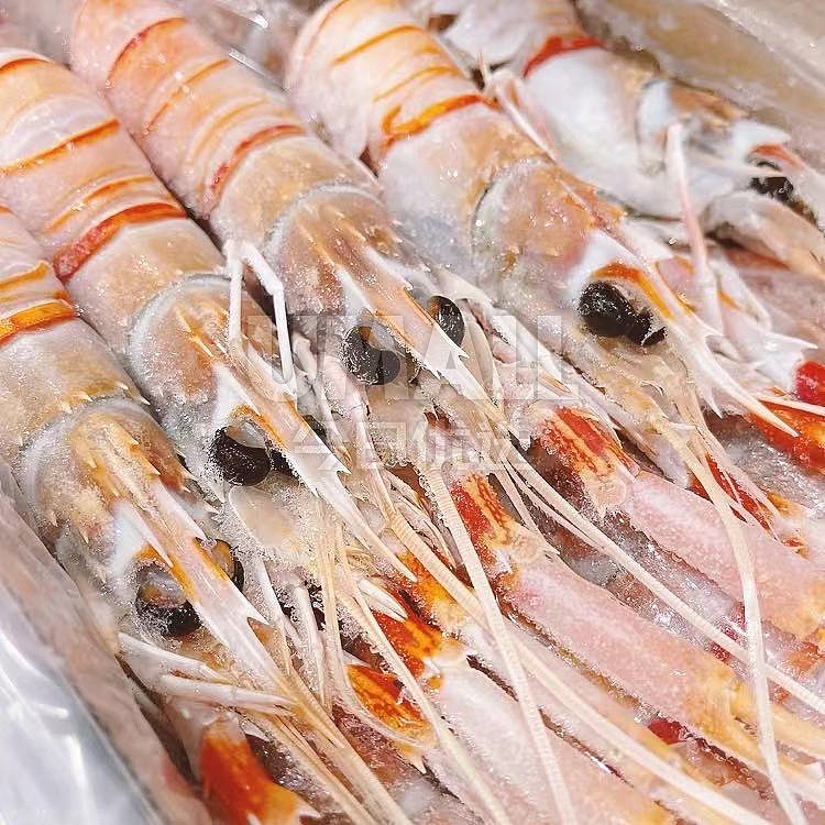 fresh-cheng-kee-fresh-new-zealand-top-quality-sashimi-crayfish-individual-box-about-1kg-2