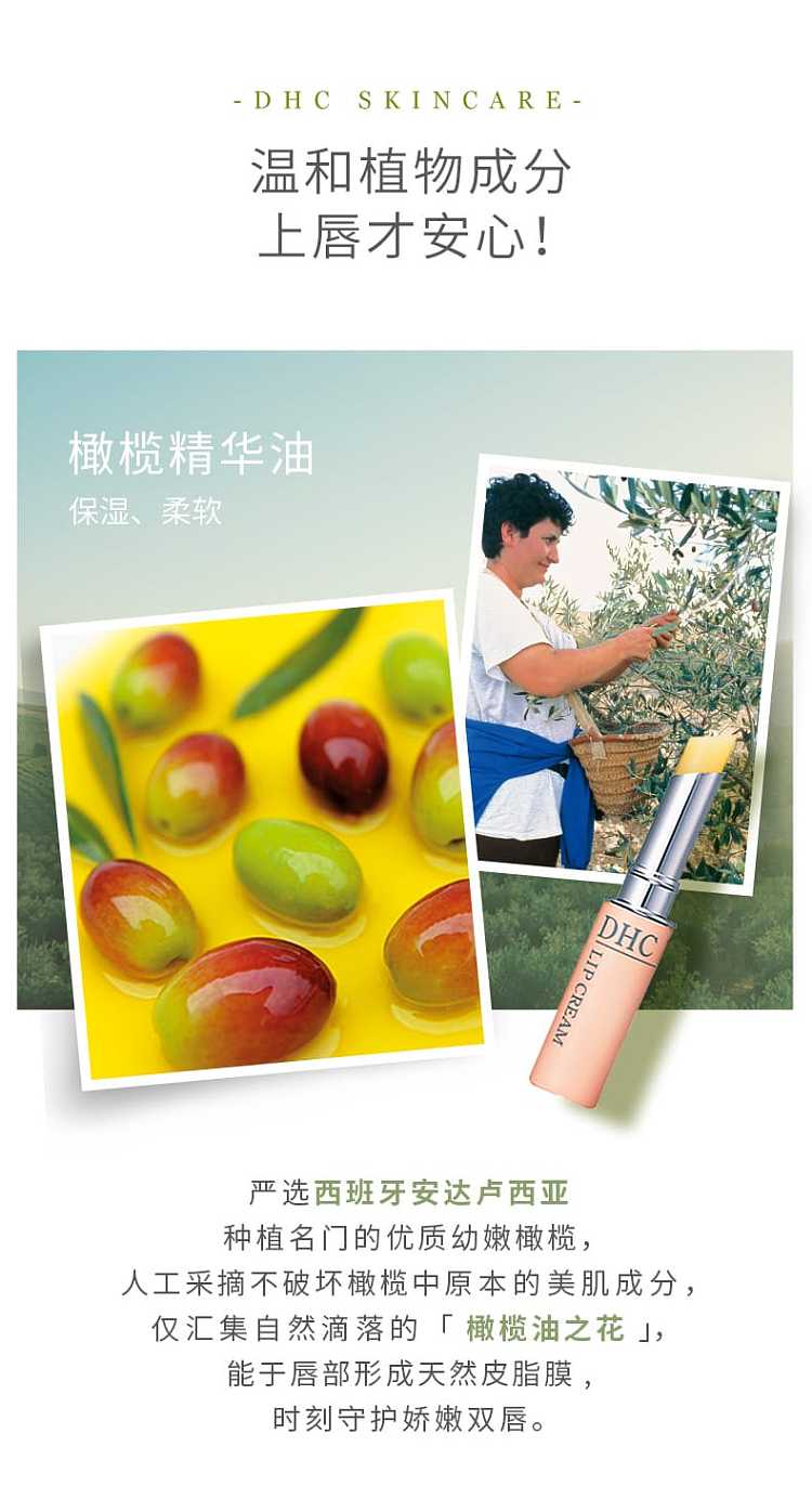 dhc-natural-olive-lip-balm-4