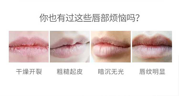 dhc-natural-olive-lip-balm-2