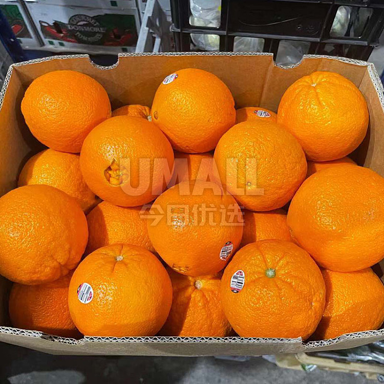 freshufreshcaracara-navel-orange-whole-box-2