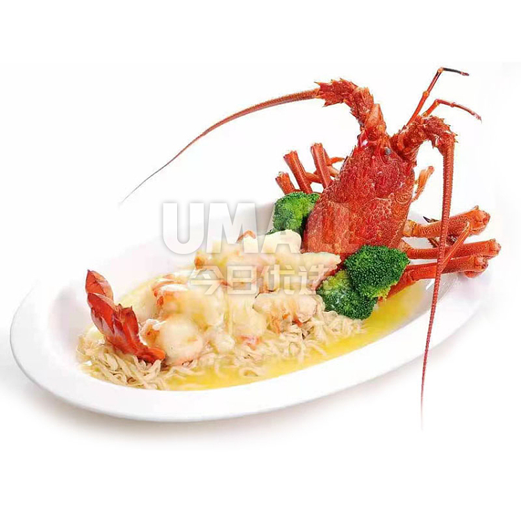 lobster-nsw-local-raw-green-dragon-one-about-800-1000g-3
