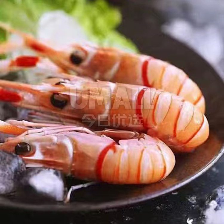 frozen-cheng-kee-new-zealand-top-crayfish-scampi-original-box-maximum-size-1-about-9-11-pieces-2