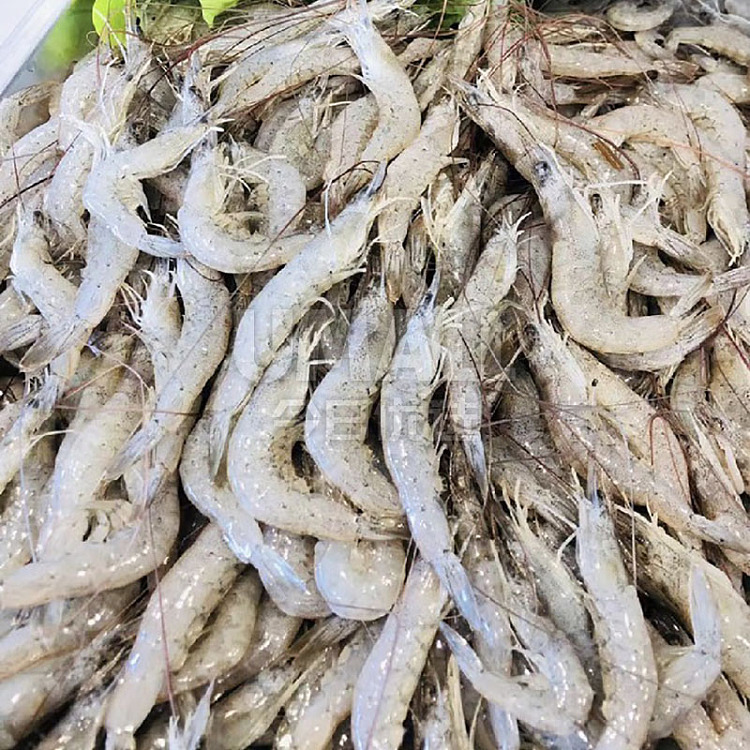 frozen-into-the-record-fresh-frozen-small-river-shrimp-about-200g-1