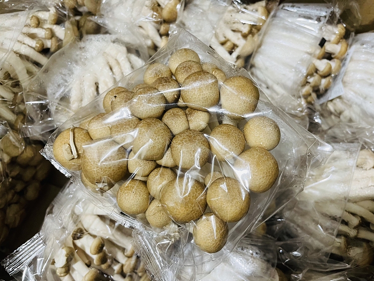 fresh-ufresh-white-jade-mushroom-crabapple-2pack-1