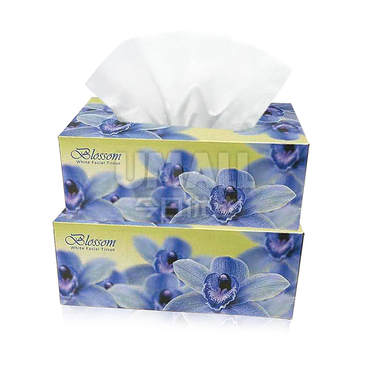 giveawayblossom-2-ply-180-draws-in-1-box-1