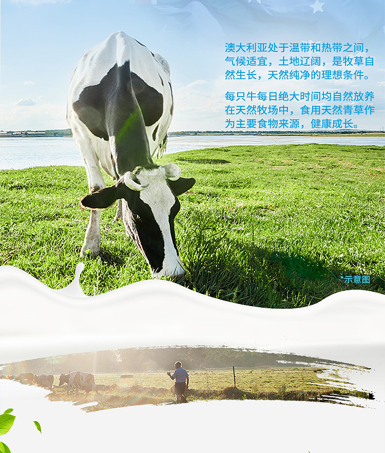 fresh-delidays-full-fat-fresh-cow-milk-2l-4