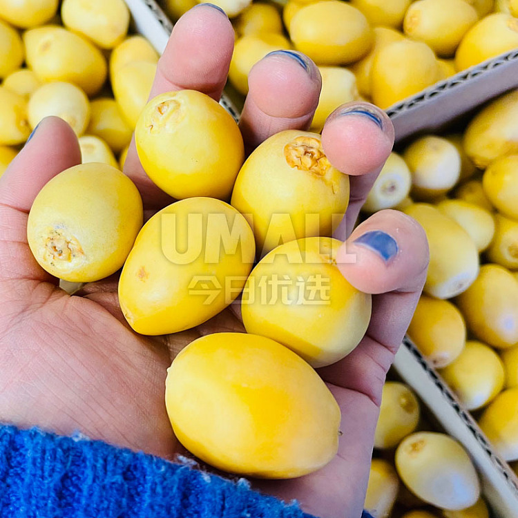 freshufresh-california-golden-dates-dates-about-300g-2