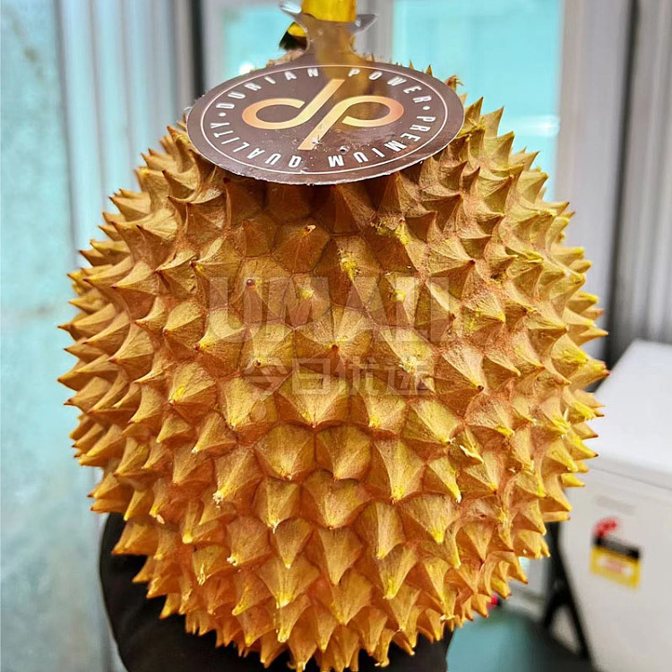 frozen-musang-king-durian-available-in-15-different-specifications-5