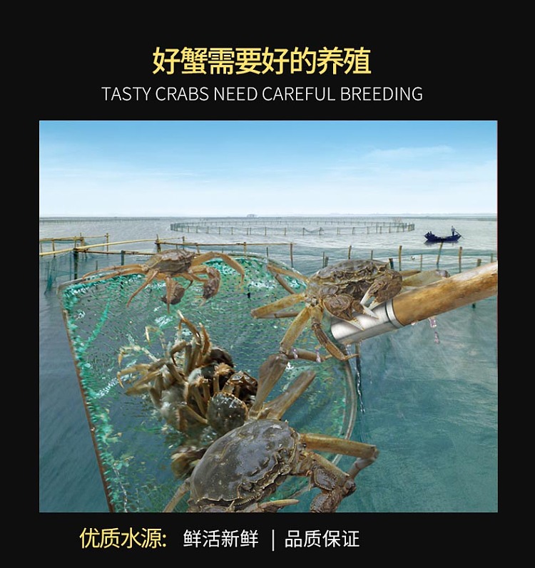 frozen-fresh-burst-cream-flowing-heart-hairy-crab-oversized-crab-yolk-fresh-meat-35-two-male-and-2-female-4-pack-of-about-700g-2