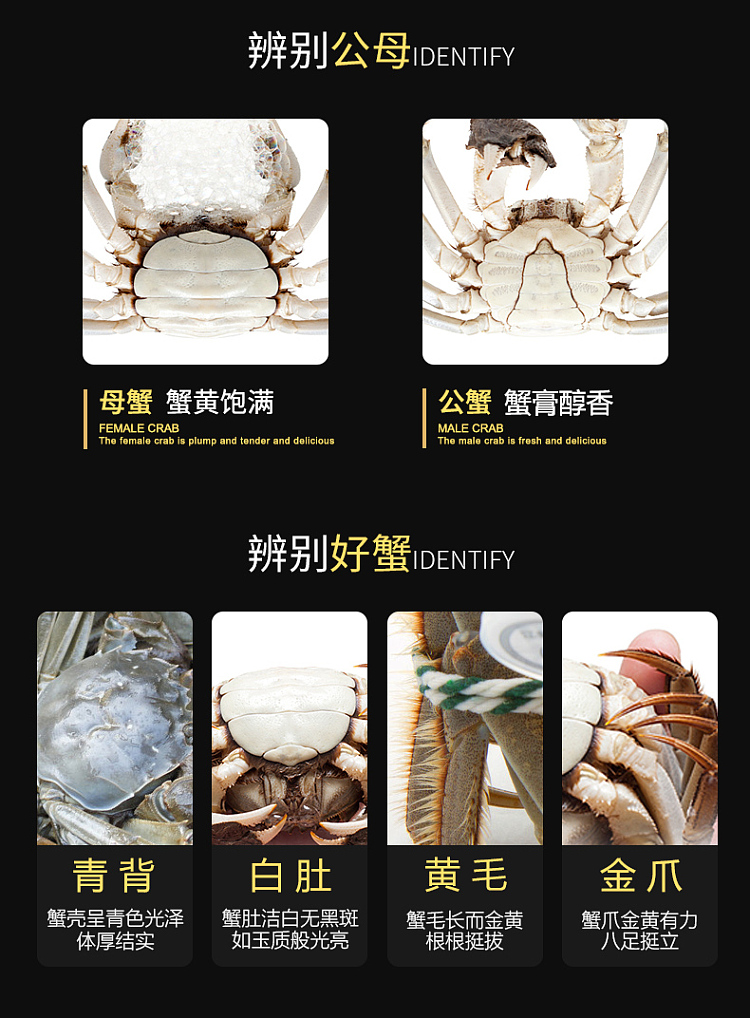 frozen-fresh-burst-cream-flowing-heart-hairy-crab-oversized-crab-yolk-fresh-meat-35-two-male-and-2-female-4-pack-of-about-700g-10