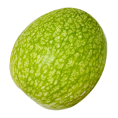 【鲜】鱼翅瓜 约1.5kg