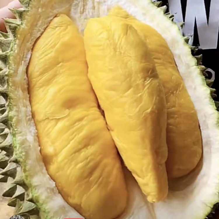 frozen-musang-king-durian-available-in-15-different-specifications-1
