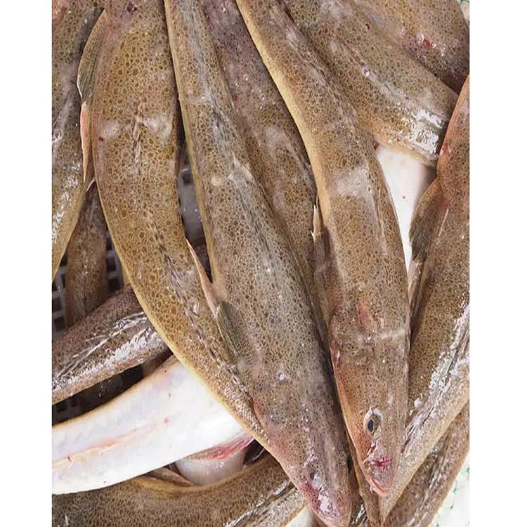 fresh-cheng-ji-fresh-deep-sea-eel-about-500g-before-cleaning-2