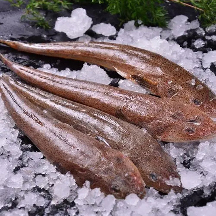 fresh-cheng-ji-fresh-deep-sea-eel-about-500g-before-cleaning-1