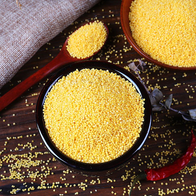 golden-bag-premium-millet-1kg-2