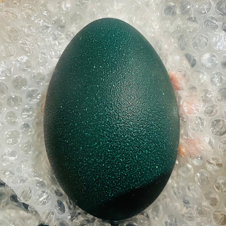 freshufresh-emu-egg-1pc-1
