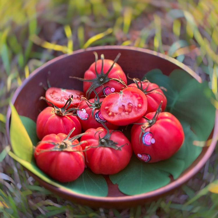 freshufresh-original-tomato-heirloomtomato-about-350-450g-4