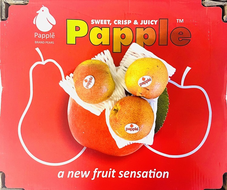 freshufresh-apple-pear-2pcs-3