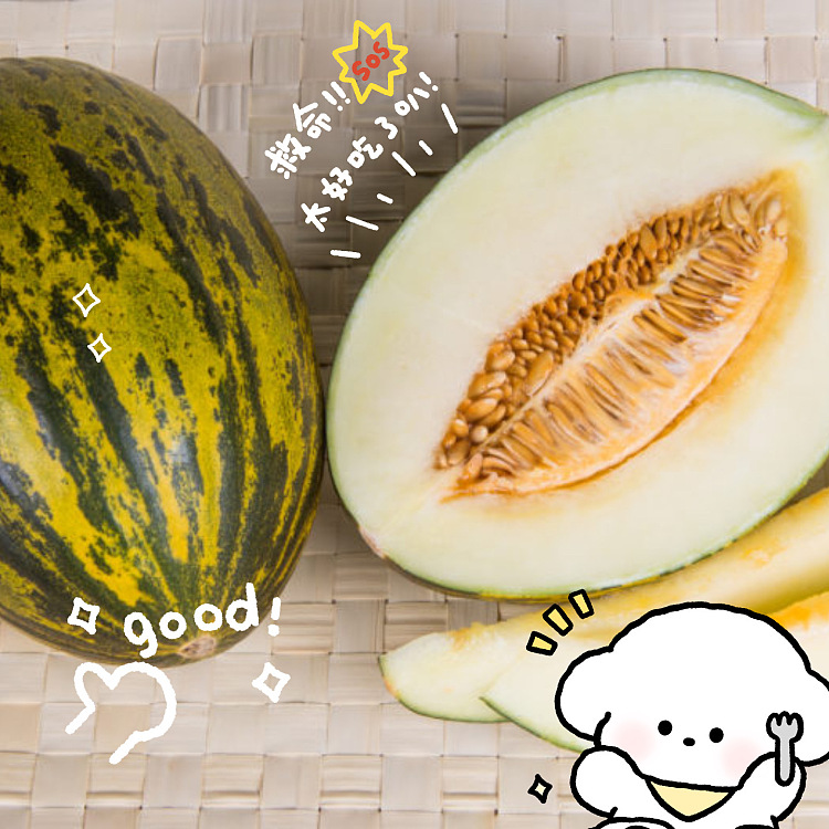 Honeydew Melon, large