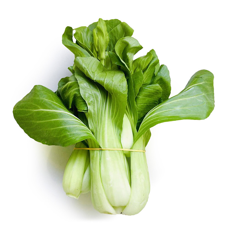 fresh-hydroponic-shanghai-bok-choy-1-bundle-2