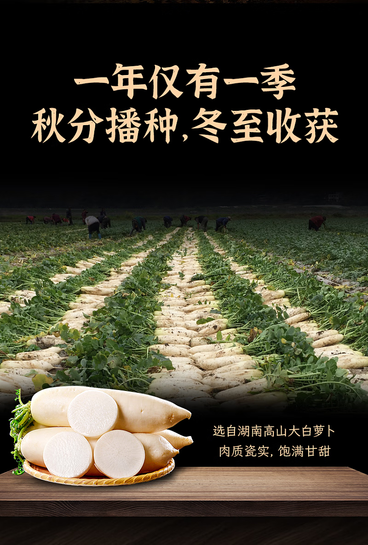 ippi-brothers-diced-radish-in-tea-oil-240g-5