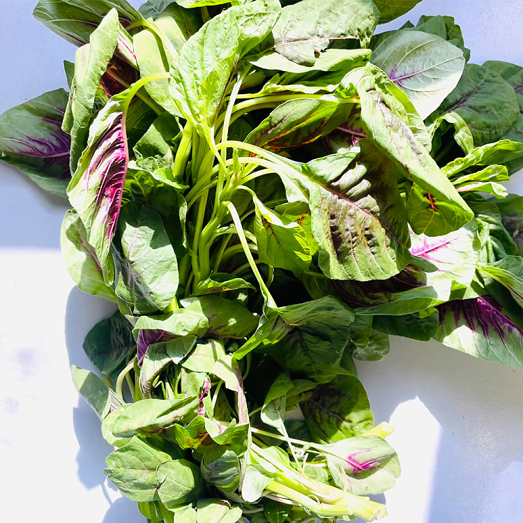 fresh-ufresh-amaranth-1-bundle-2
