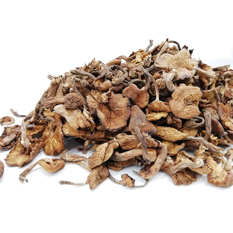 hejiaxing-mountain-delicacies-northeast-wild-hazelnut-250g-2