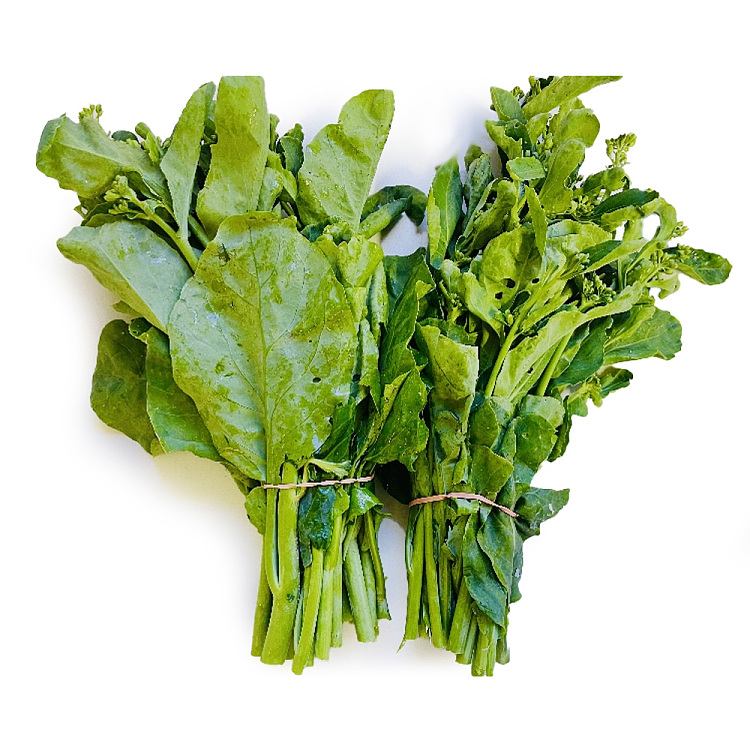 freshkale-1-bundle-1