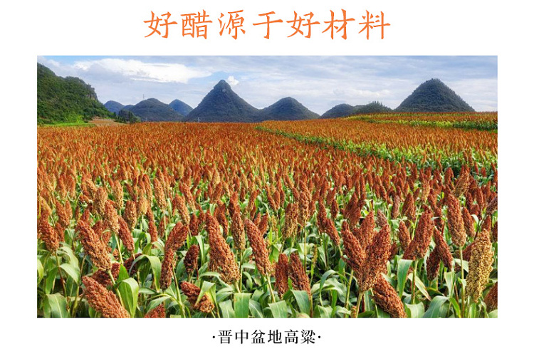 ninghua-house-shanxi-old-aged-vinegar-500ml-9