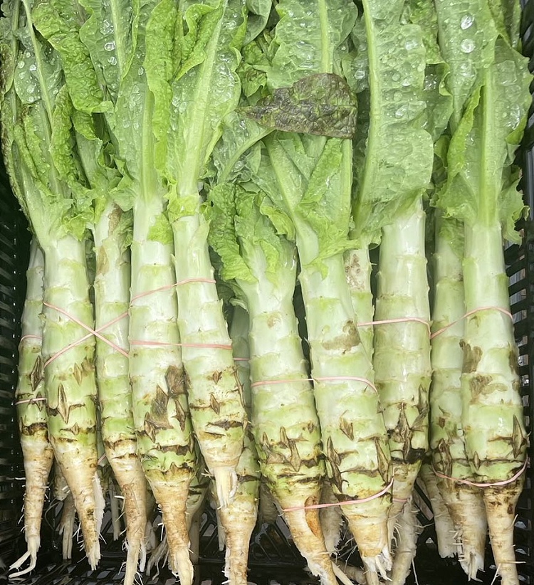 freshufresh-farm-lettuce-1-handful-about-2-sticks-2