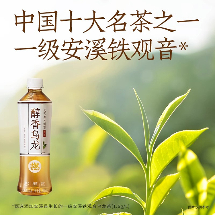 vitality-forest-burnt-tea-unsweetened-fragrant-oolong-500ml-3