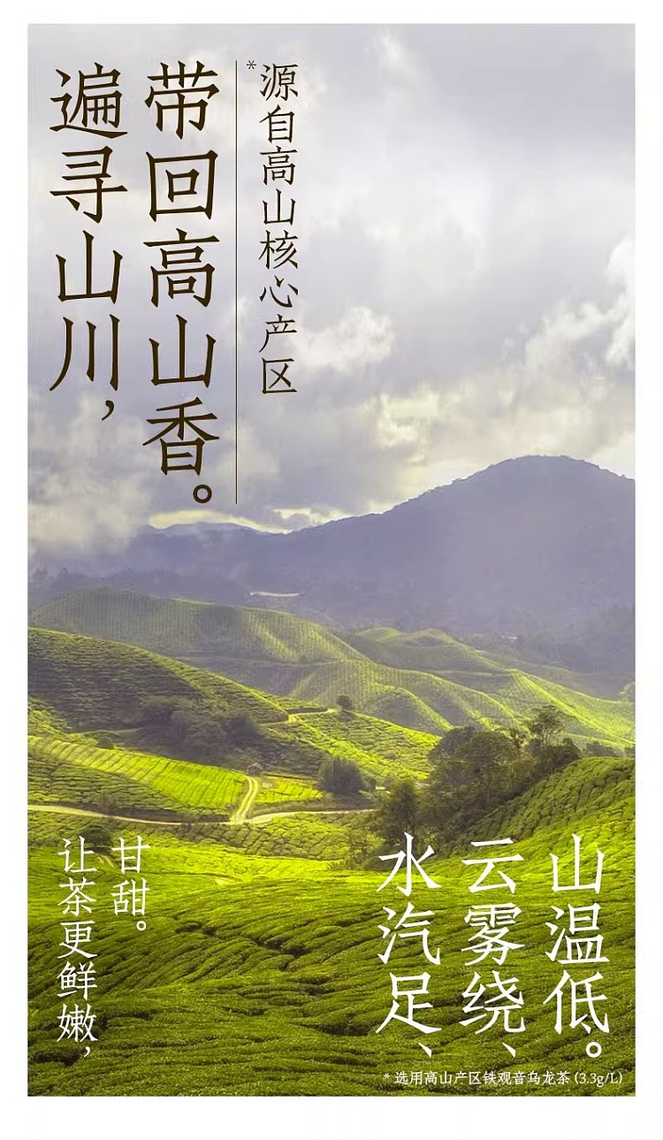 vitality-forest-burnt-tea-unsweetened-fragrant-oolong-500ml-3