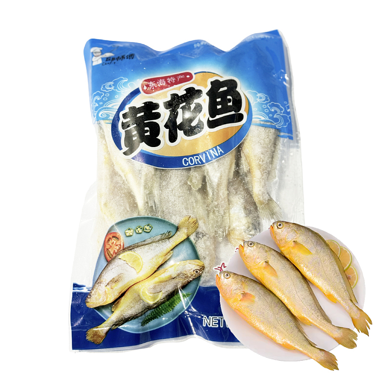 frozen-master-qiu-yellowtail-500g-1