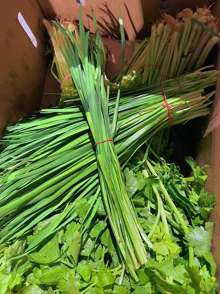 fresh-2-bundles-of-leeks-3