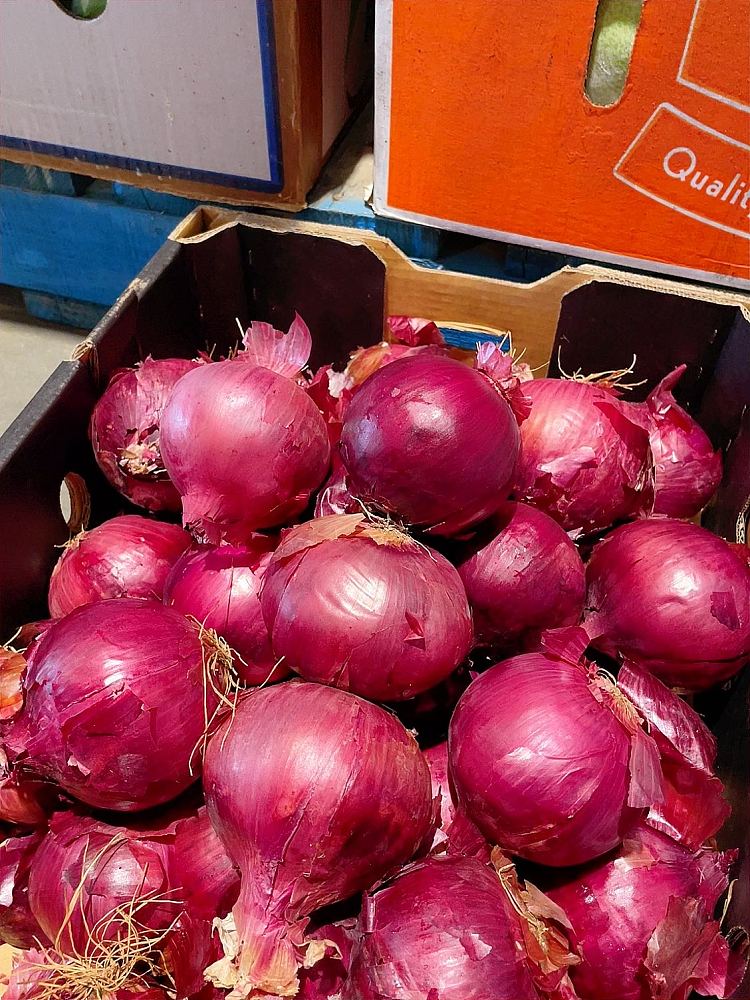 freshabout-1kg-of-purple-onion-2