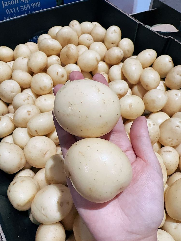 freshsmall-potatoes-about-800g-2