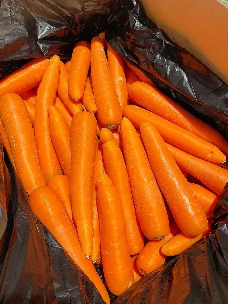freshcarrot-about-1kg-2