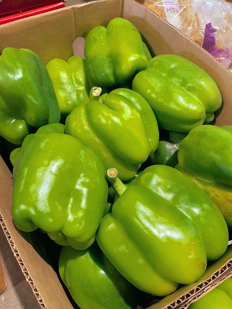 fresh-3-green-bell-peppers-2