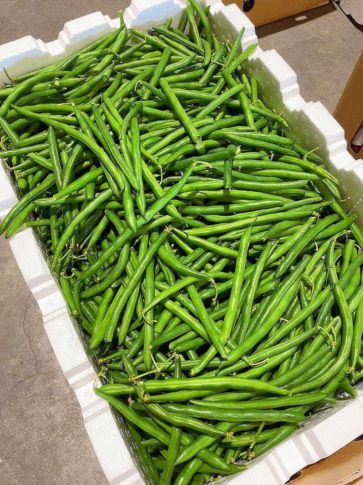 freshapprox-500g-of-bean-curd-2