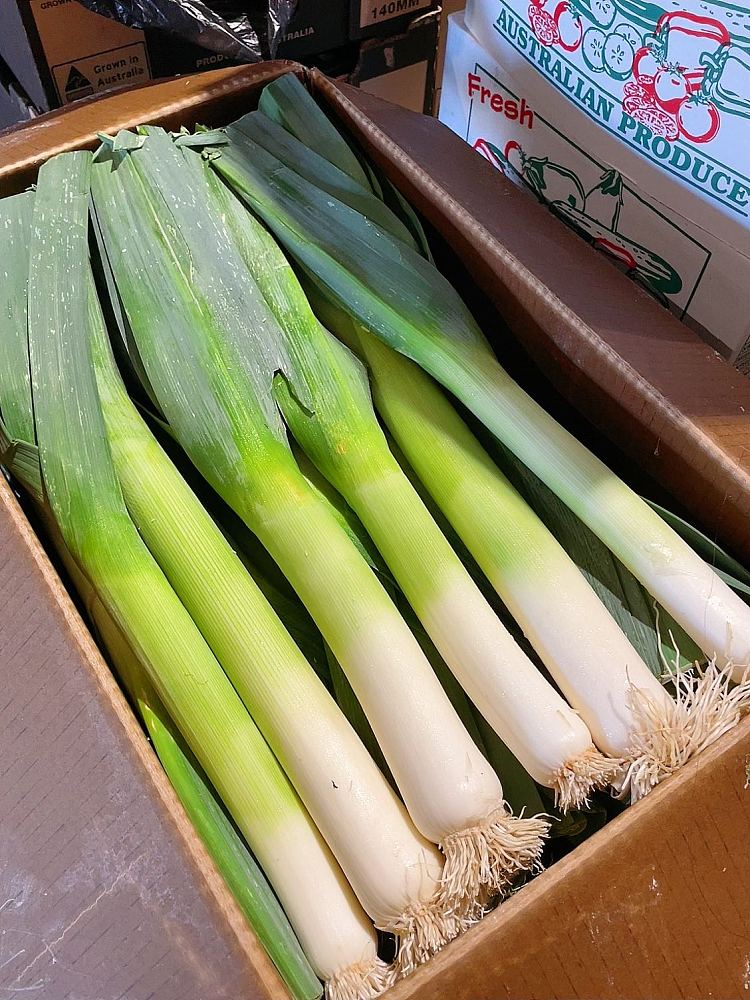fresh-1-garlic-clove-2