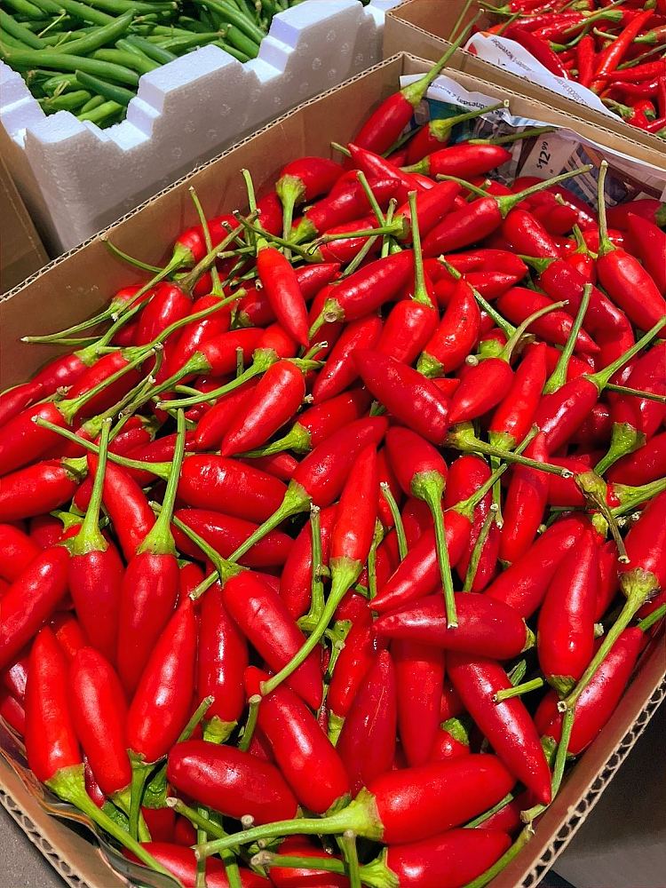 freshfresh-bullet-pepper-about-200g-2