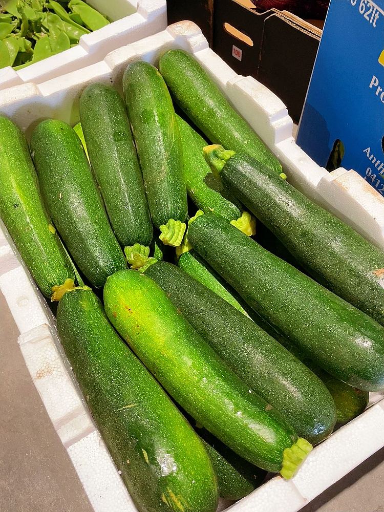 freshzucchini-about-500g-2