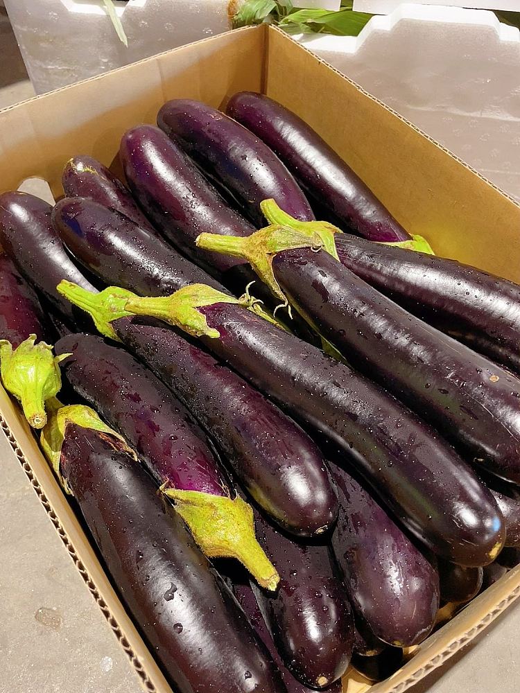 fresh-about-500g-of-lebanese-eggplant-2