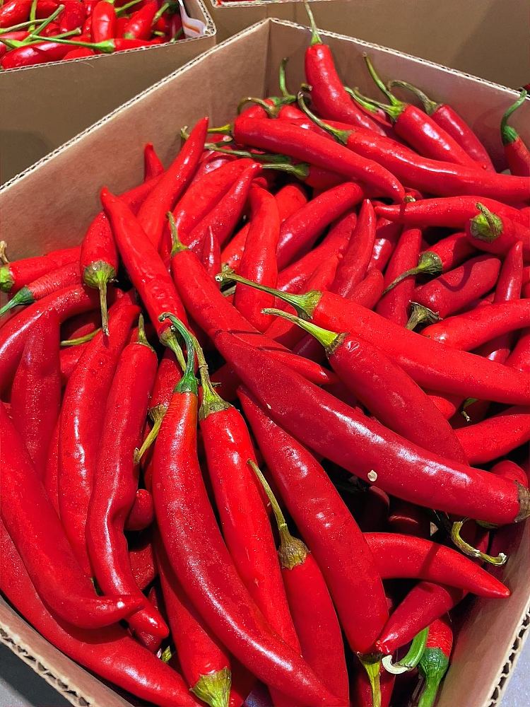 freshred-chili-pepper-about-250g-2