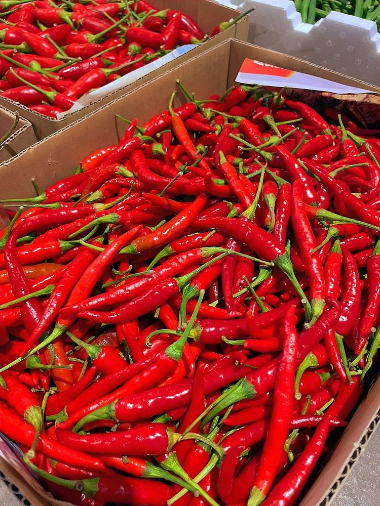 freshthai-red-chili-about-150g-2