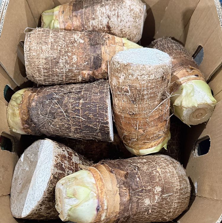 freshumalls-own-milk-taro-about-1kg-2