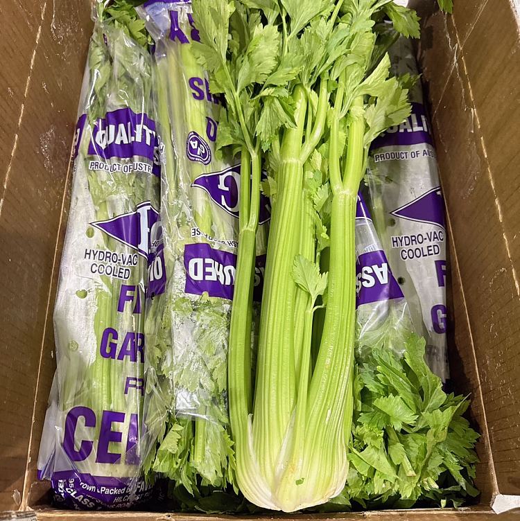 freshumalls-own-celery-1-bundle-2