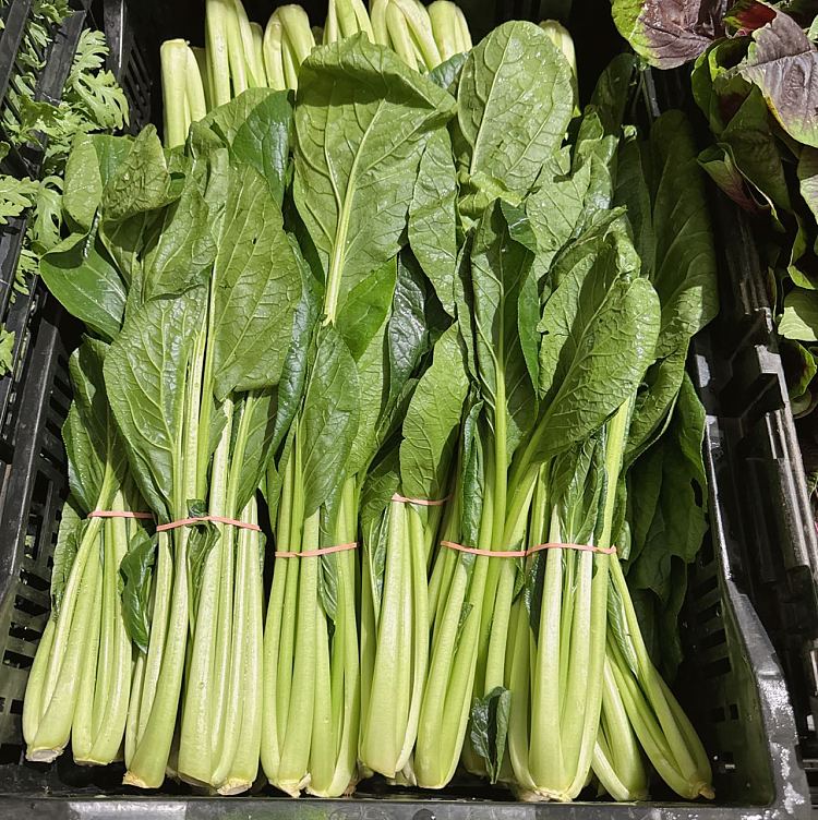 freshumalls-own-vegetable-hearts-1-bundle-2